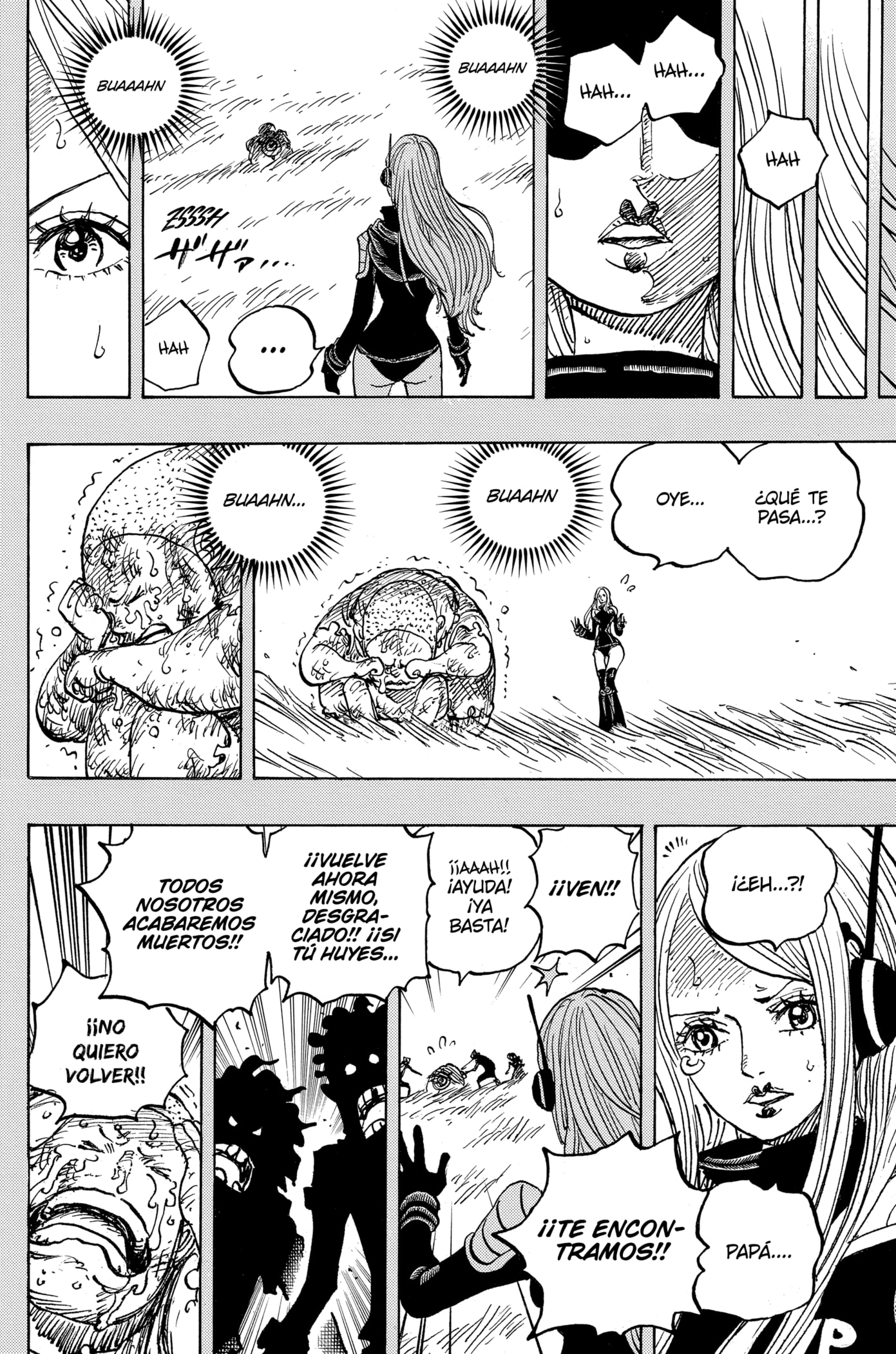 One Piece capítulo 1074 página 12