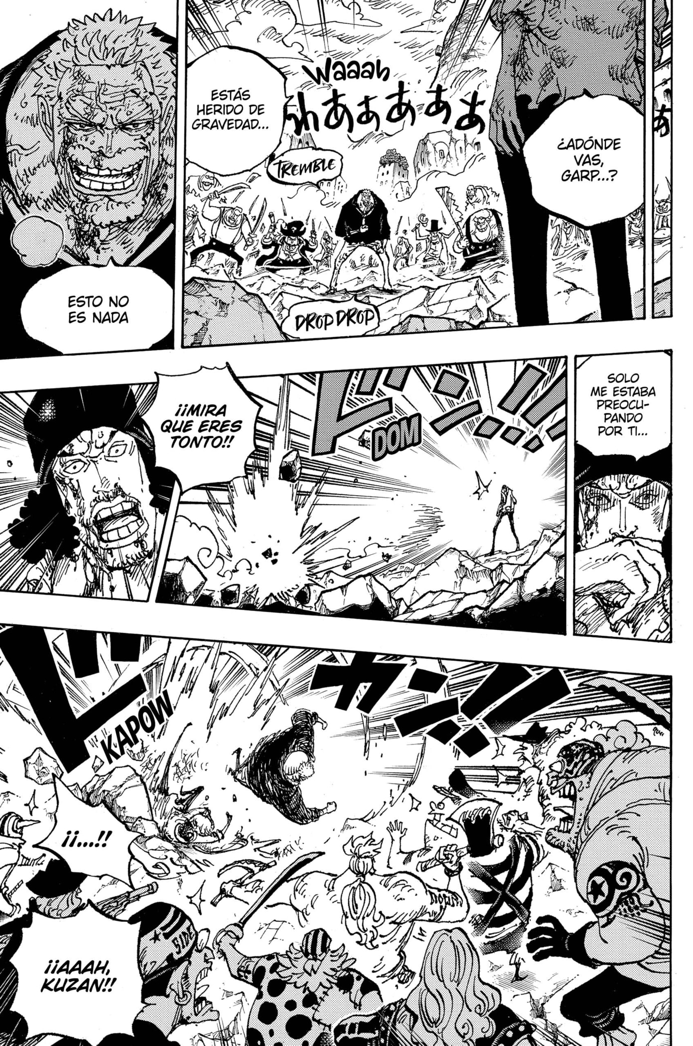 One Piece capítulo 1088 página 10