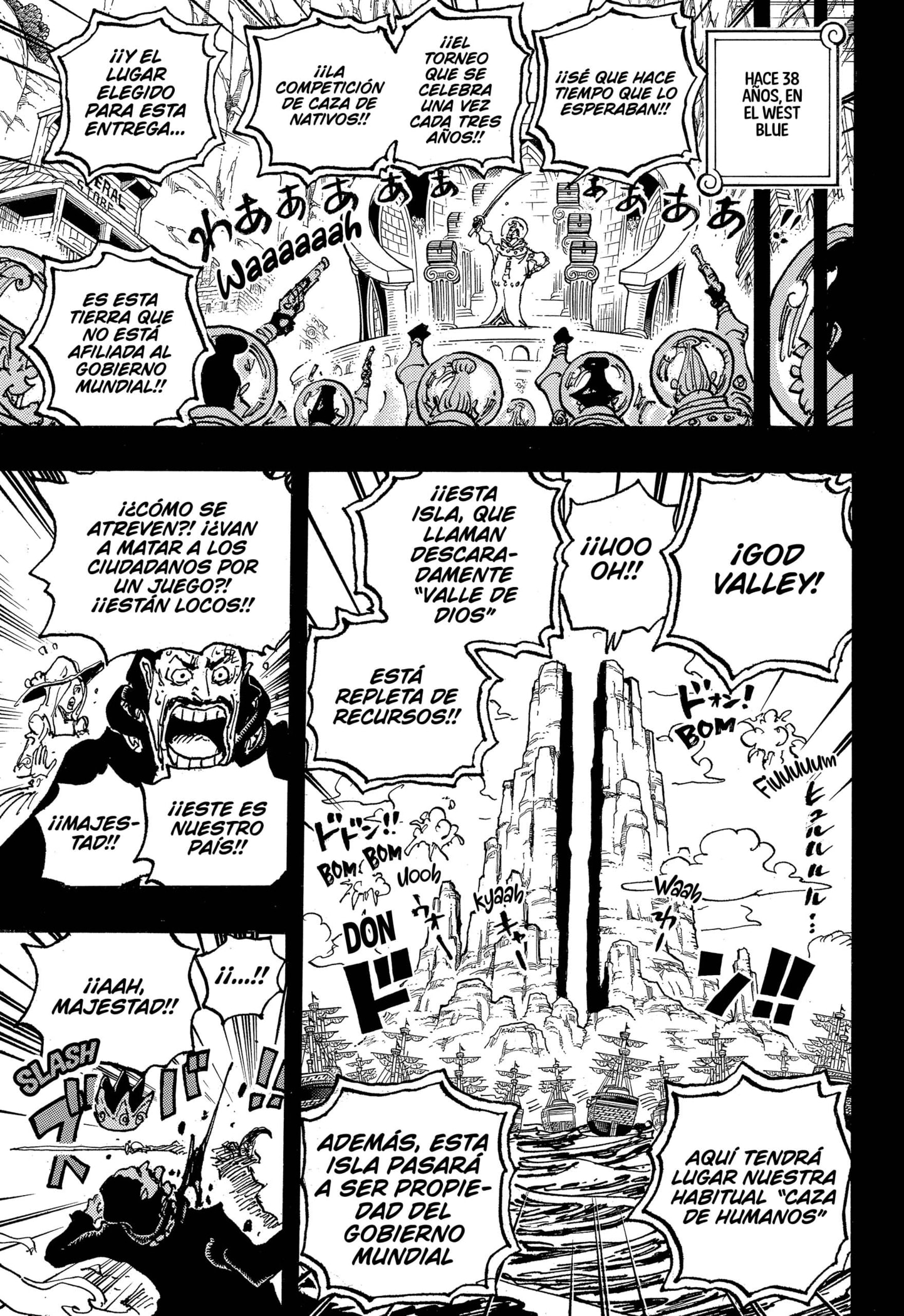 One Piece capítulo 1095 página 13