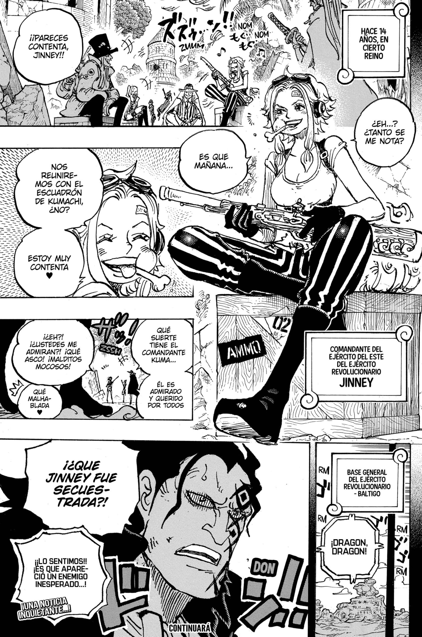 One Piece capítulo 1097 página 13