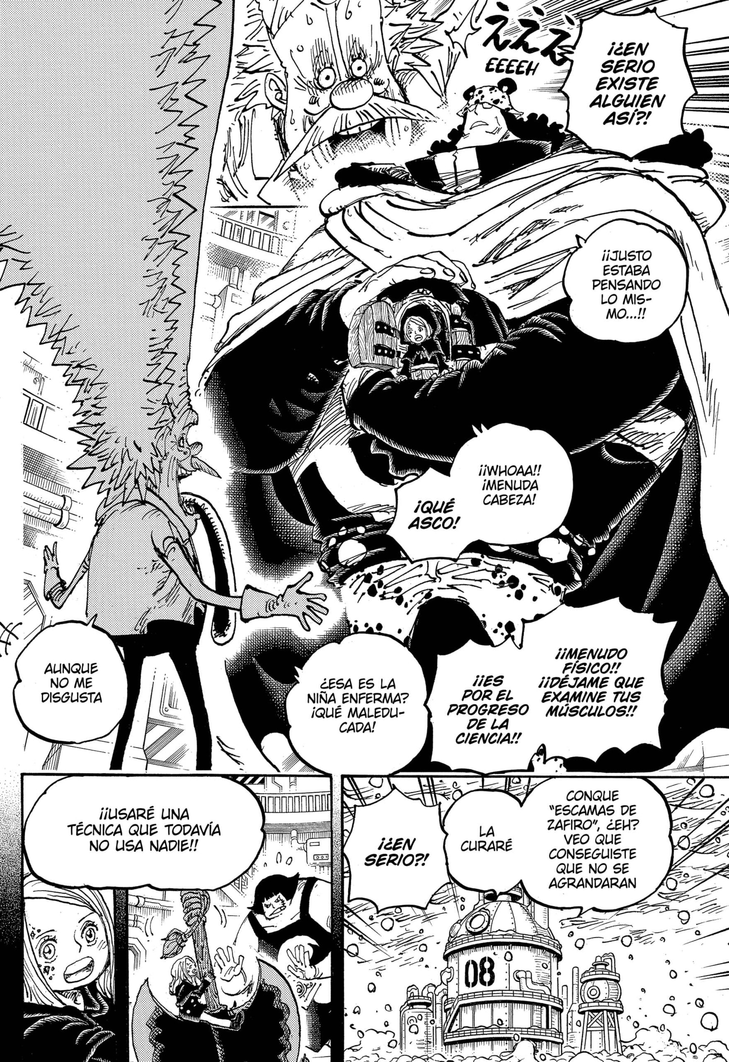 One Piece capítulo 1099 página 14
