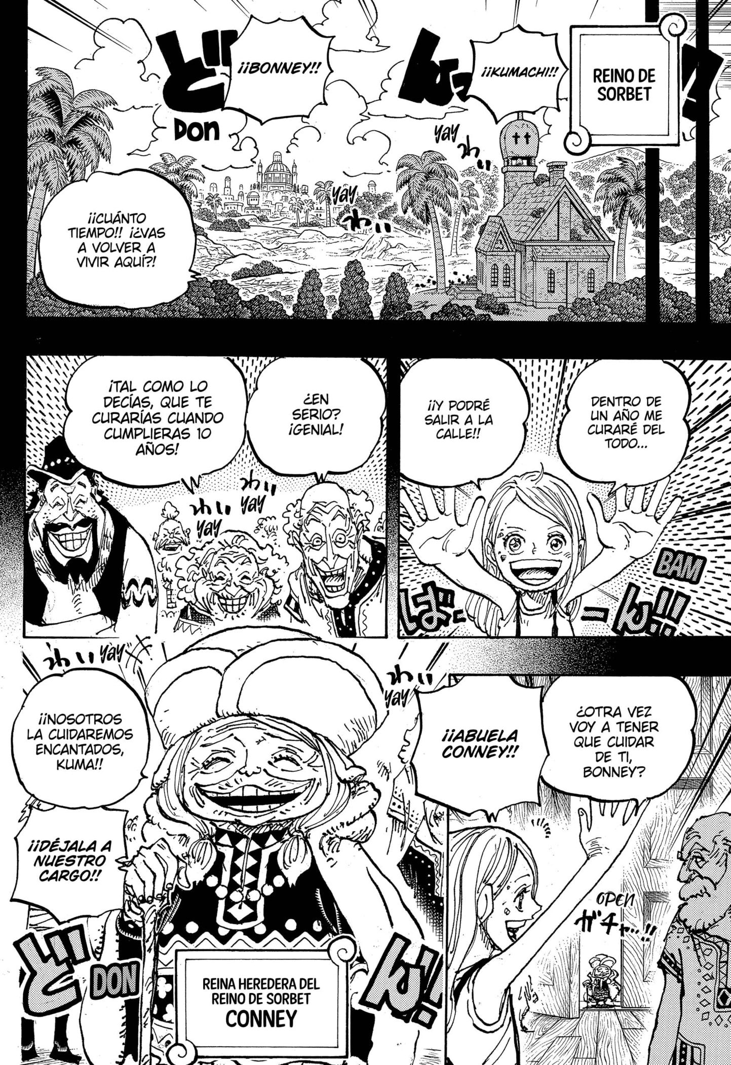 One Piece capítulo 1100 página 12