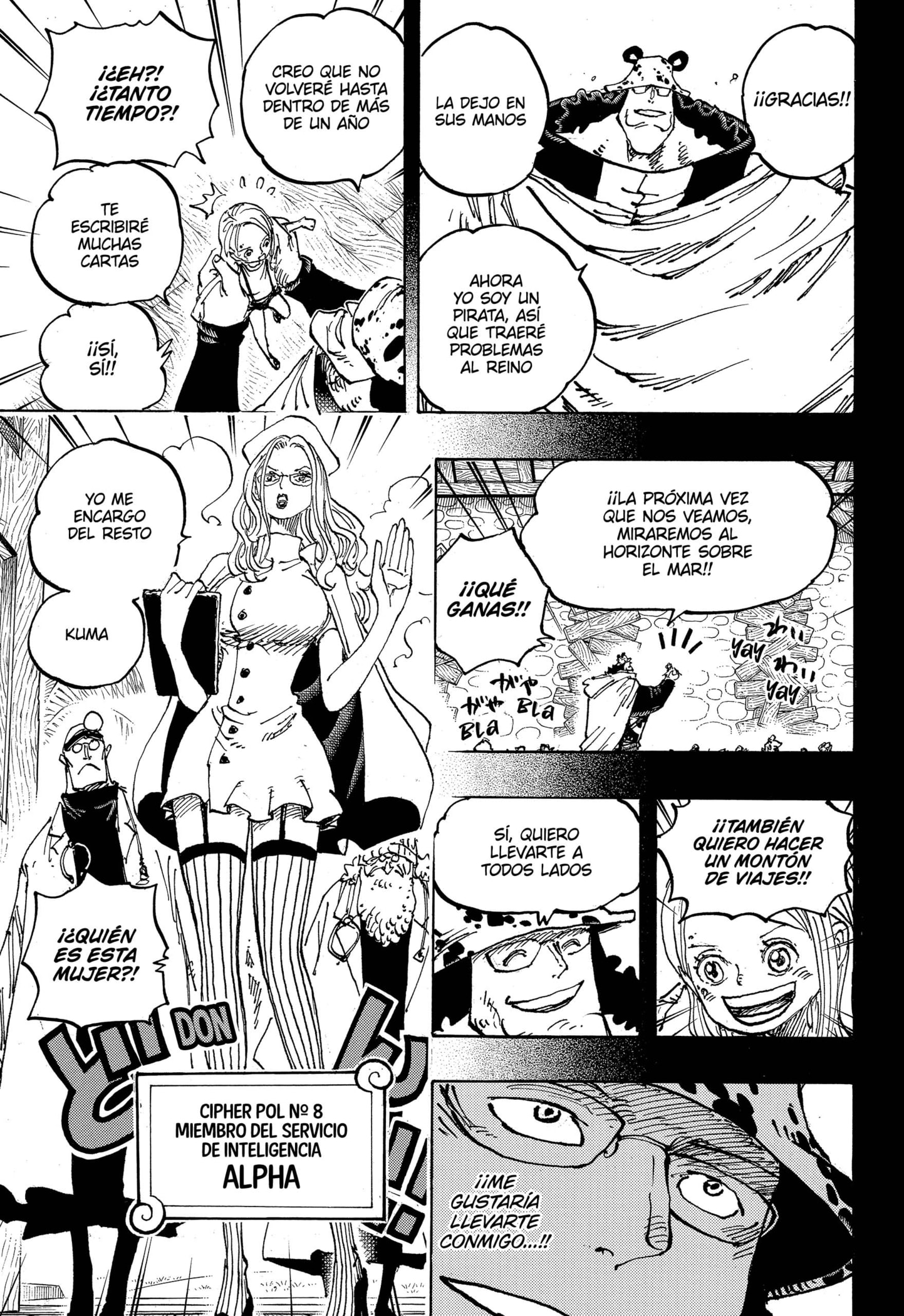 One Piece capítulo 1100 página 13