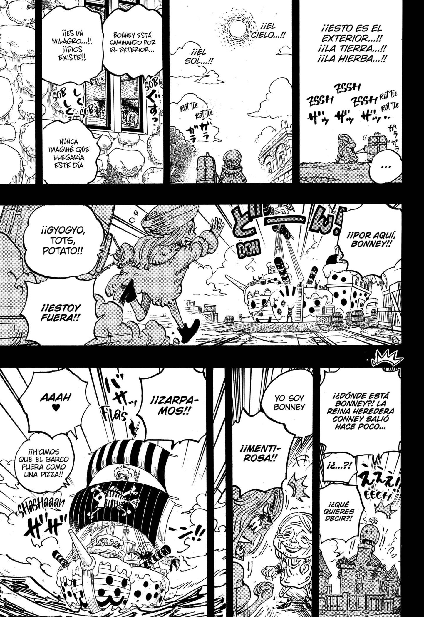 One Piece capítulo 1101 página 16