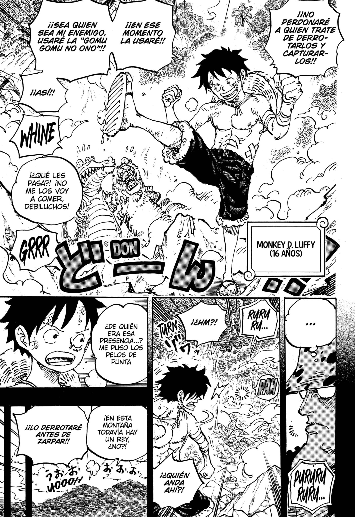 One Piece capítulo 1101 página 6