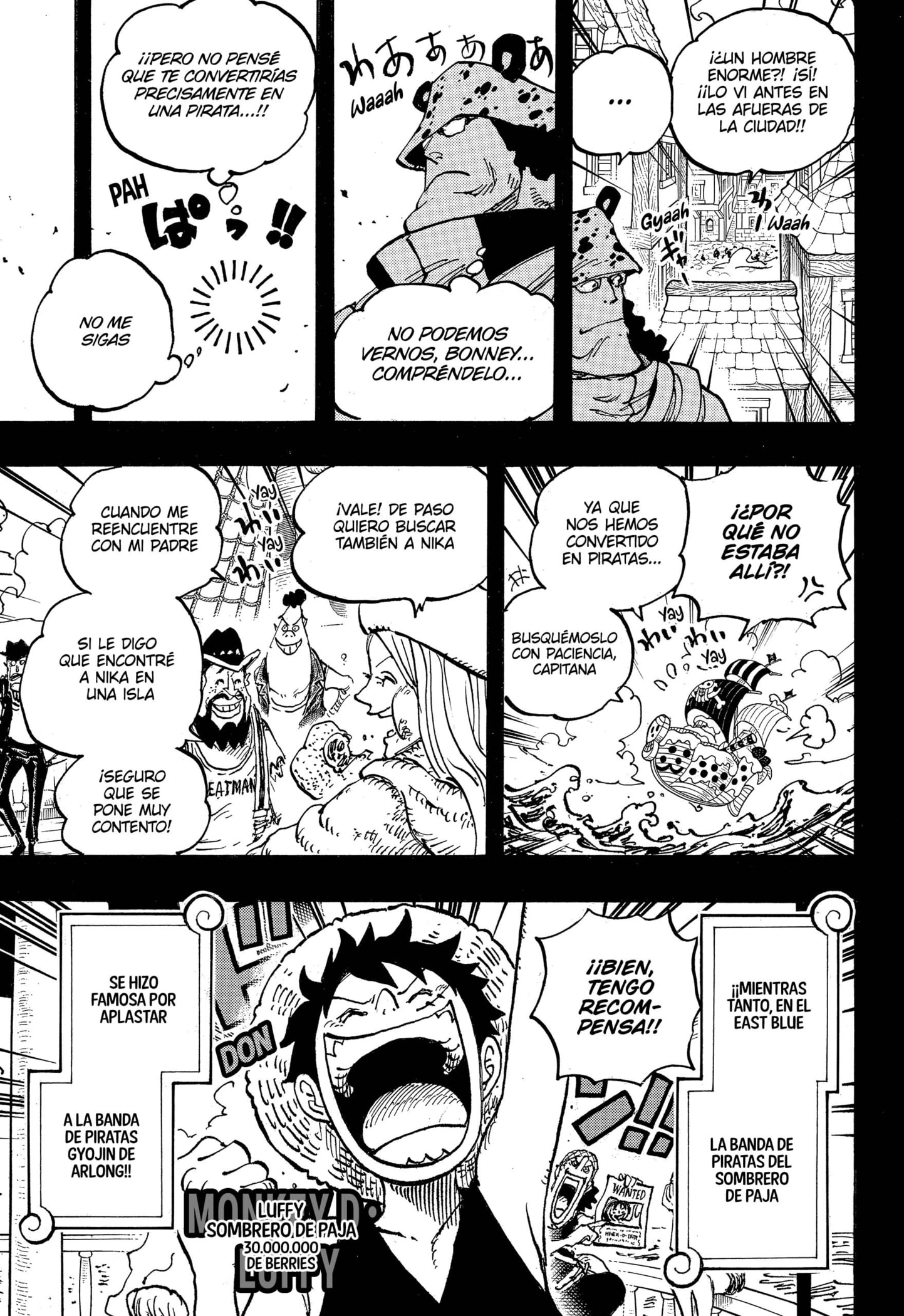 One Piece capítulo 1102 página 3