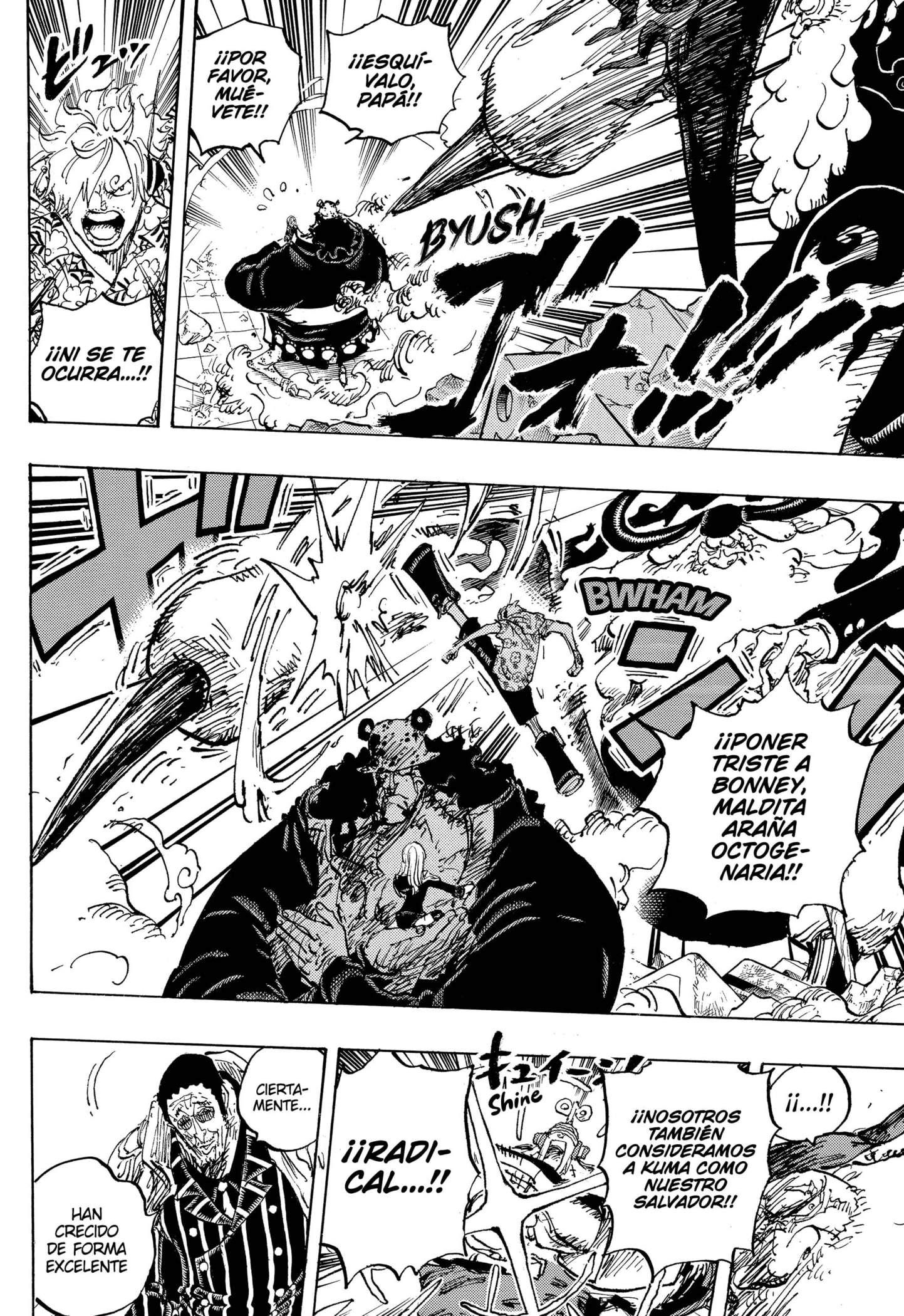 One Piece capítulo 1104 página 12