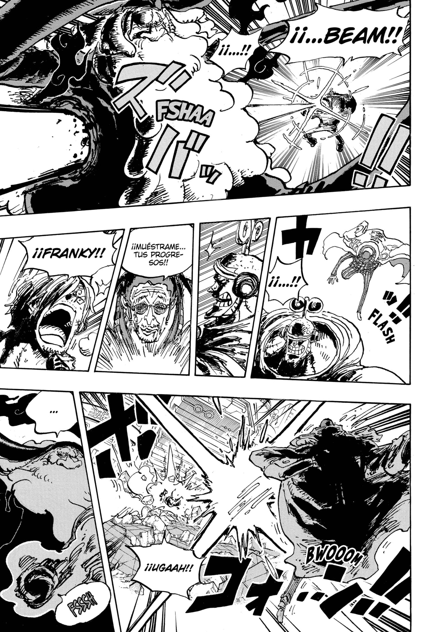 One Piece capítulo 1104 página 13