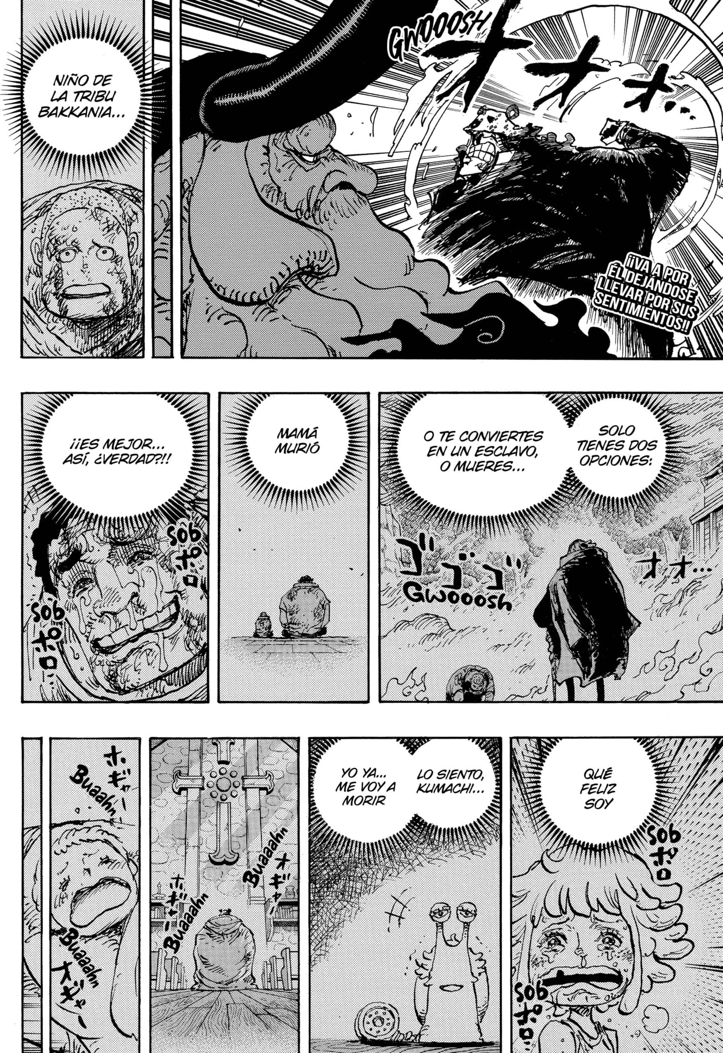 One Piece capítulo 1104 página 2