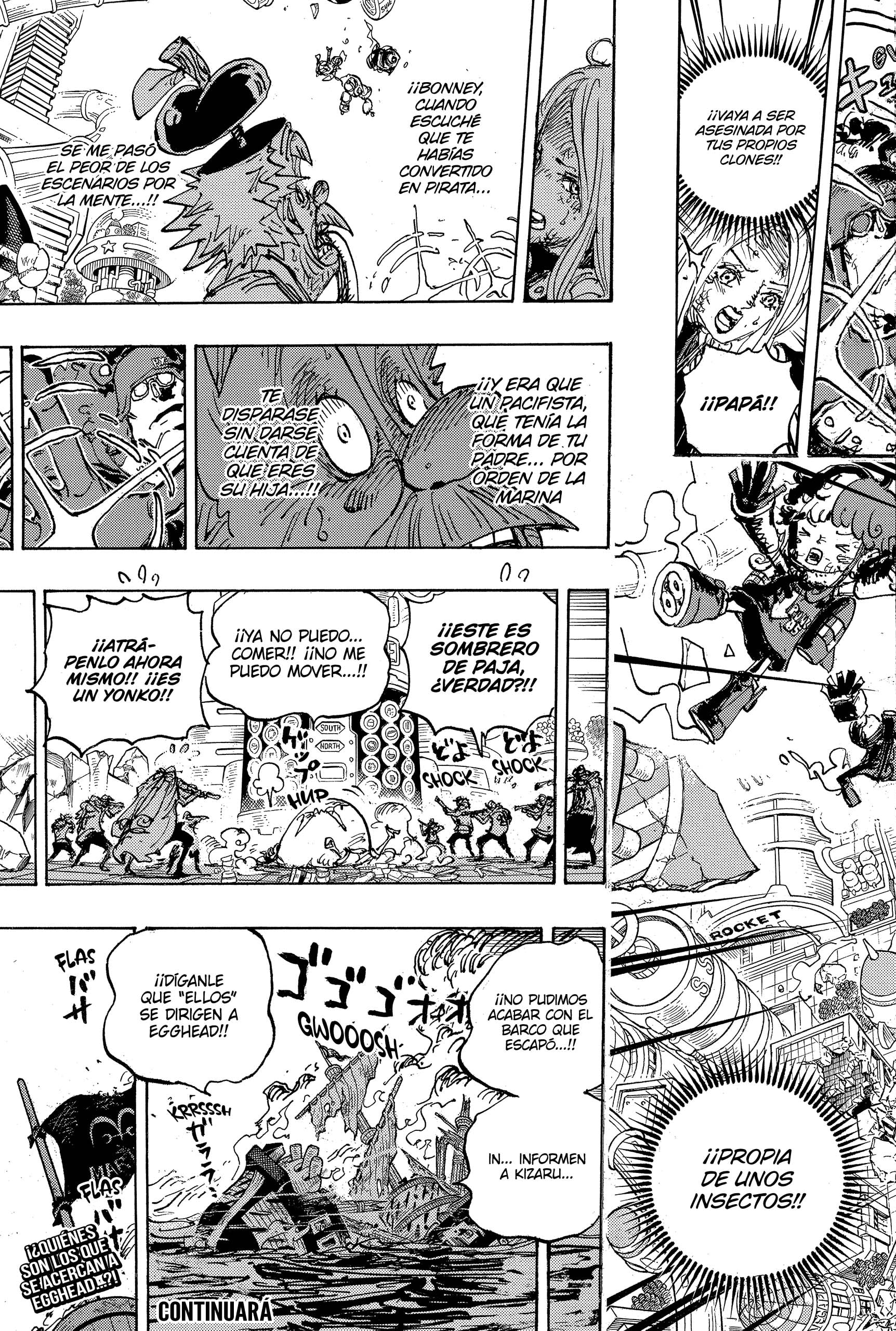 One Piece capítulo 1105 página 13
