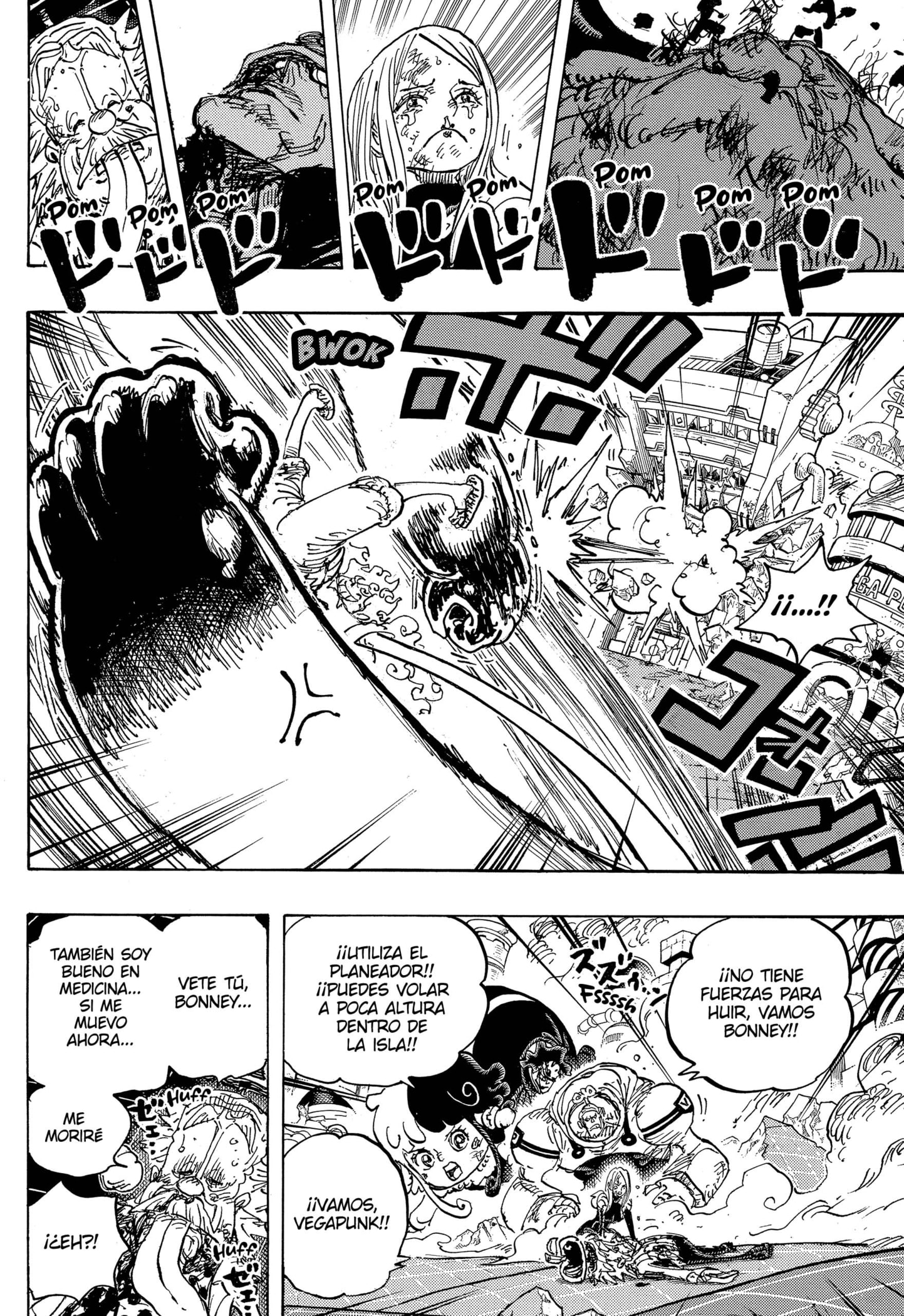 One Piece capítulo 1107 página 12