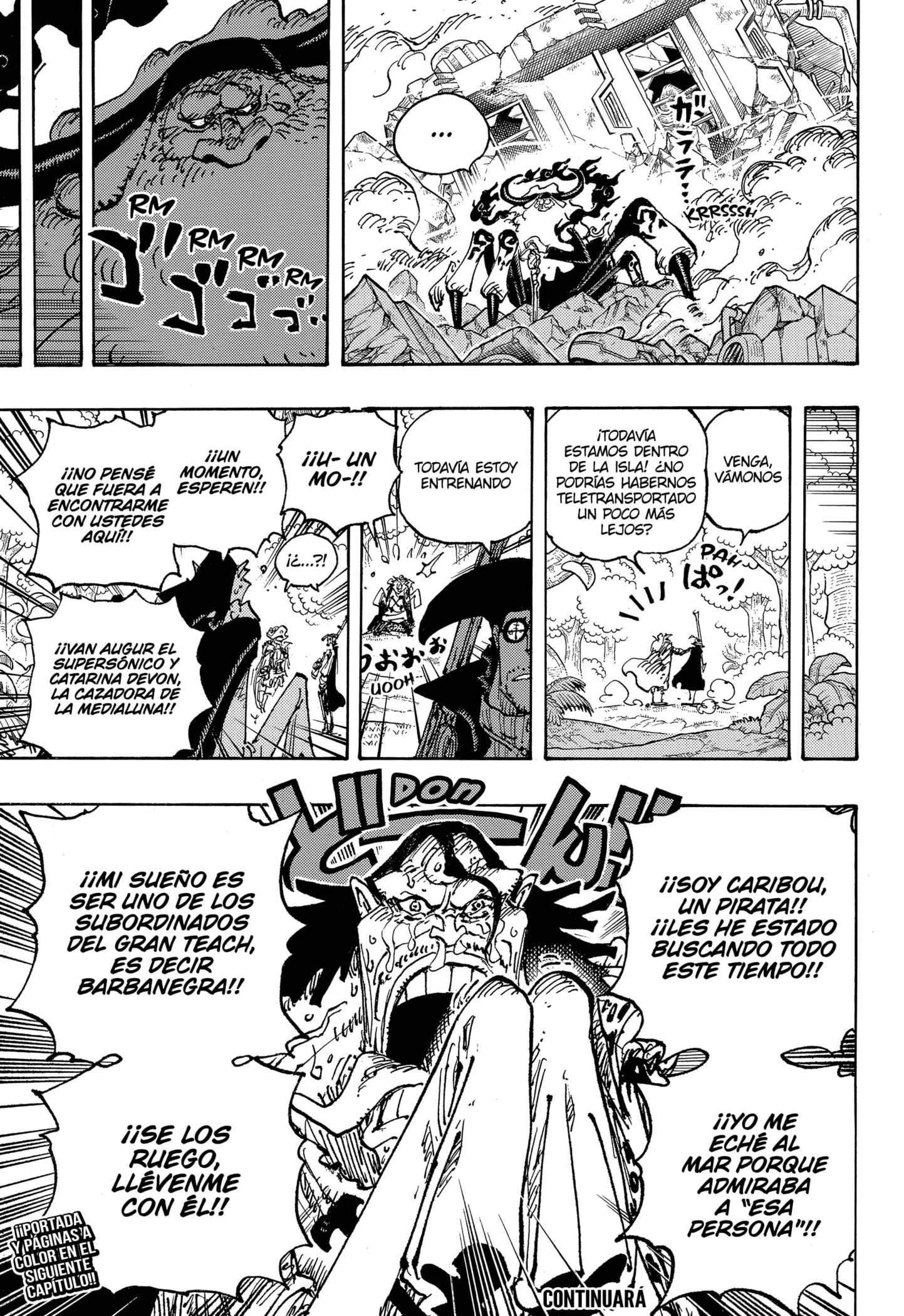 One Piece capítulo 1107 página 17
