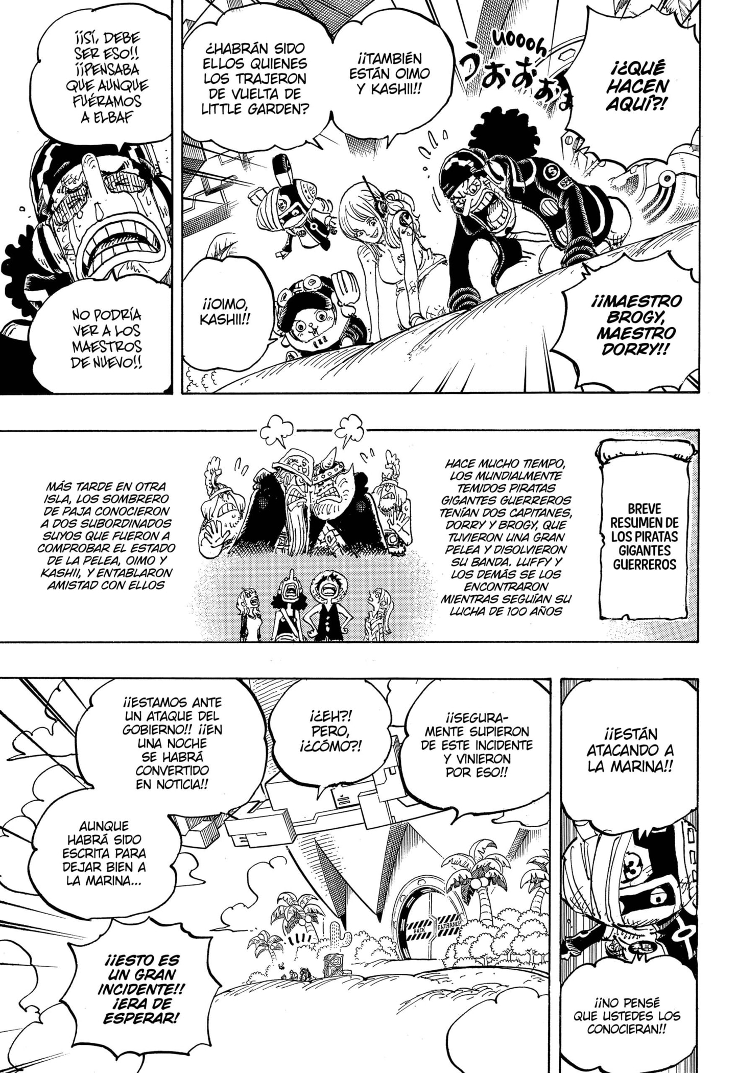 One Piece capítulo 1107 página 5