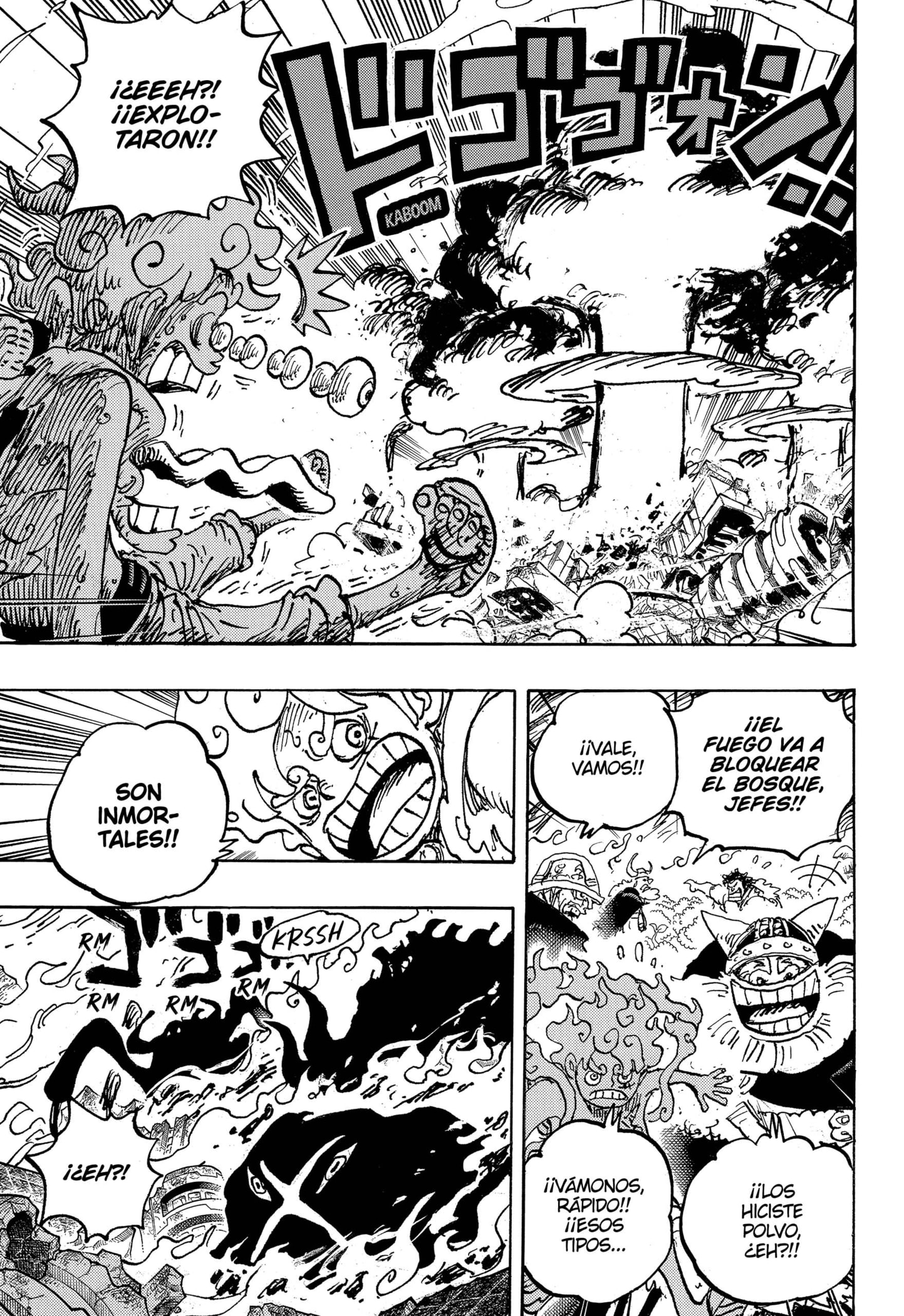 One Piece capítulo 1111 página 18