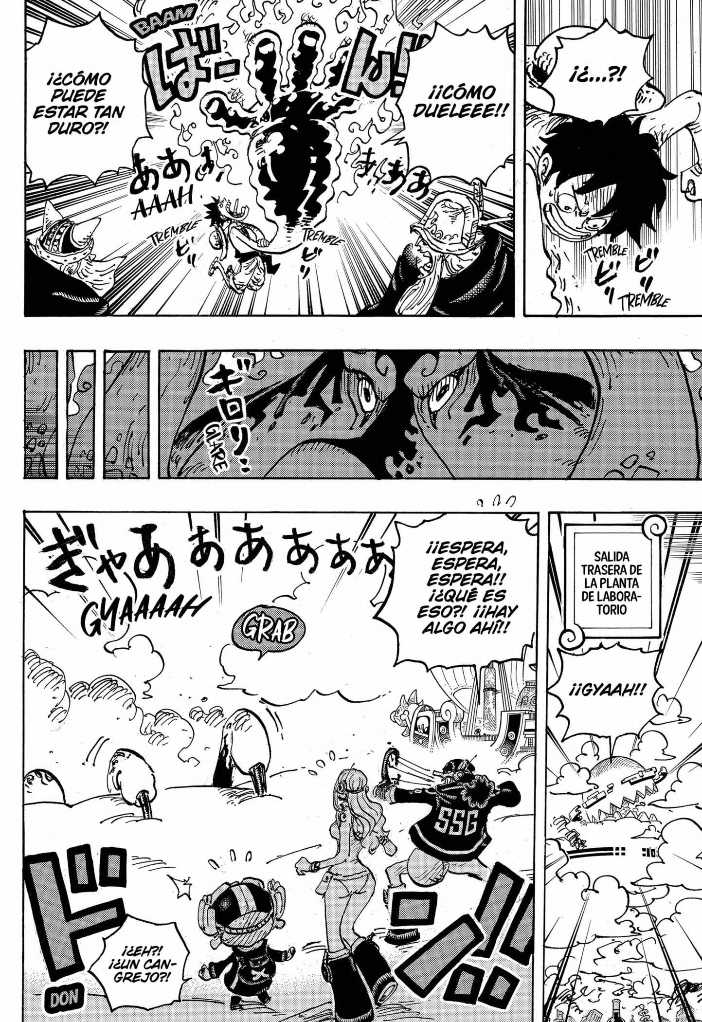 One Piece capítulo 1112 página 16