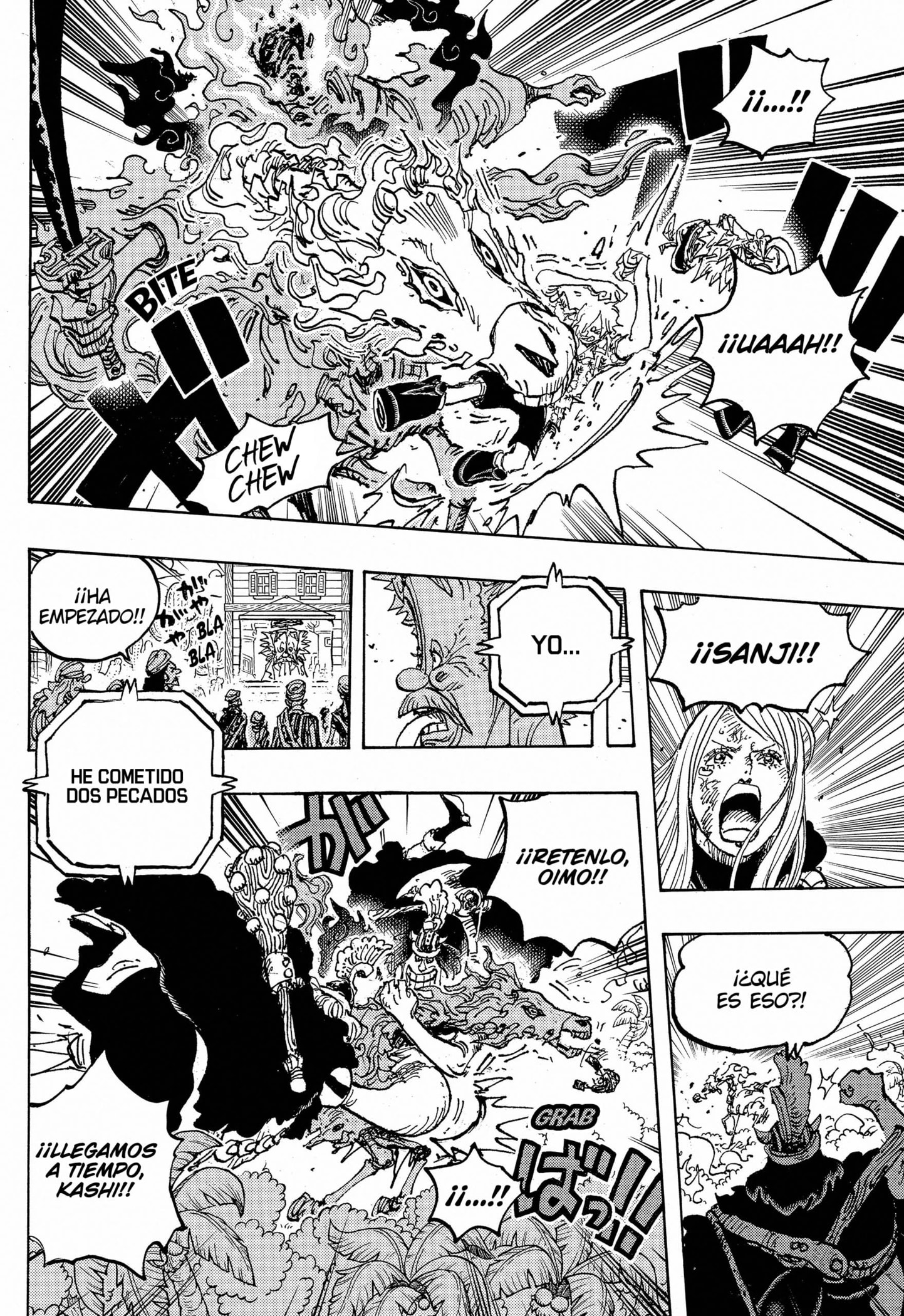 One Piece capítulo 1113 página 13