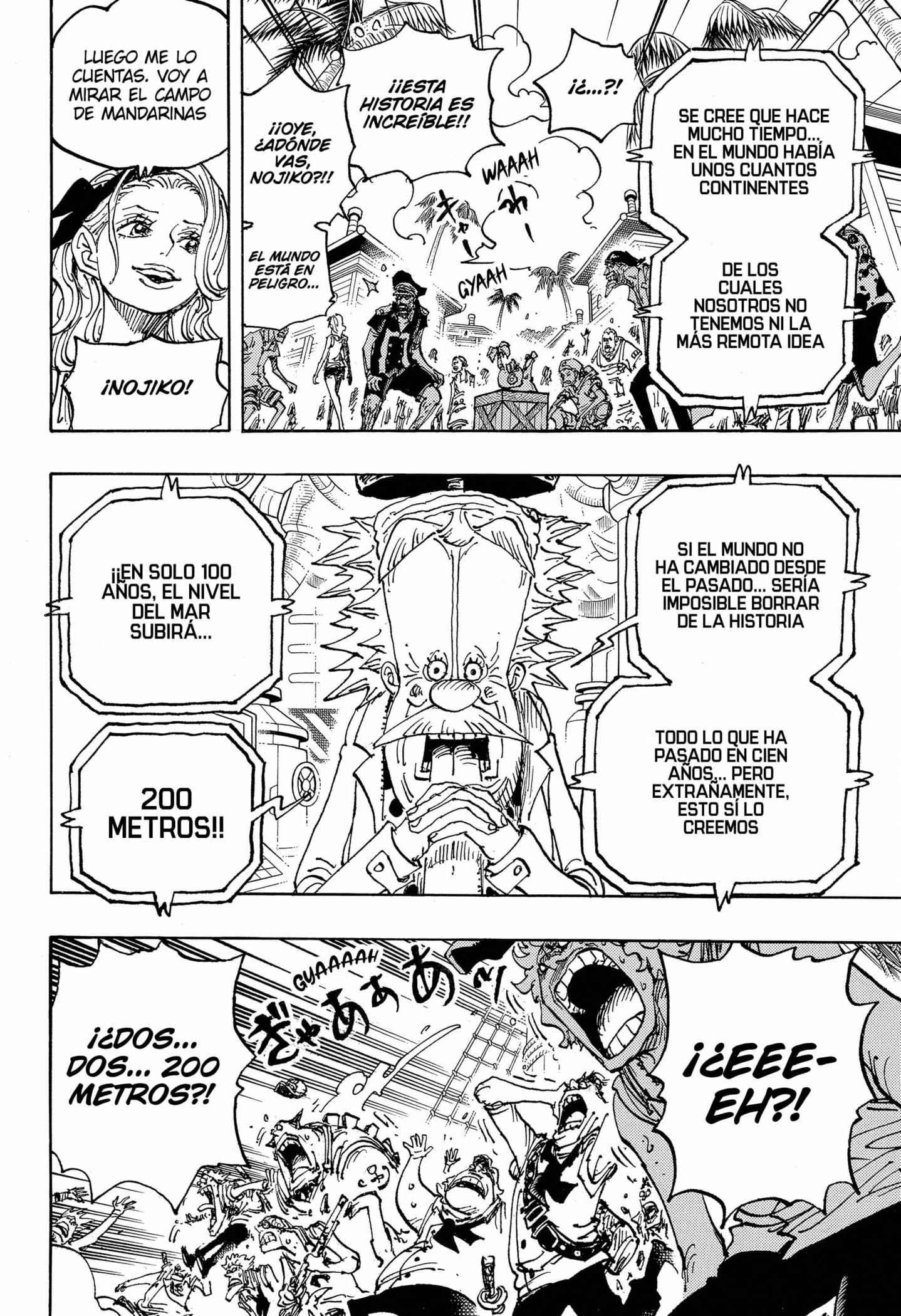 One Piece capítulo 1115 página 14