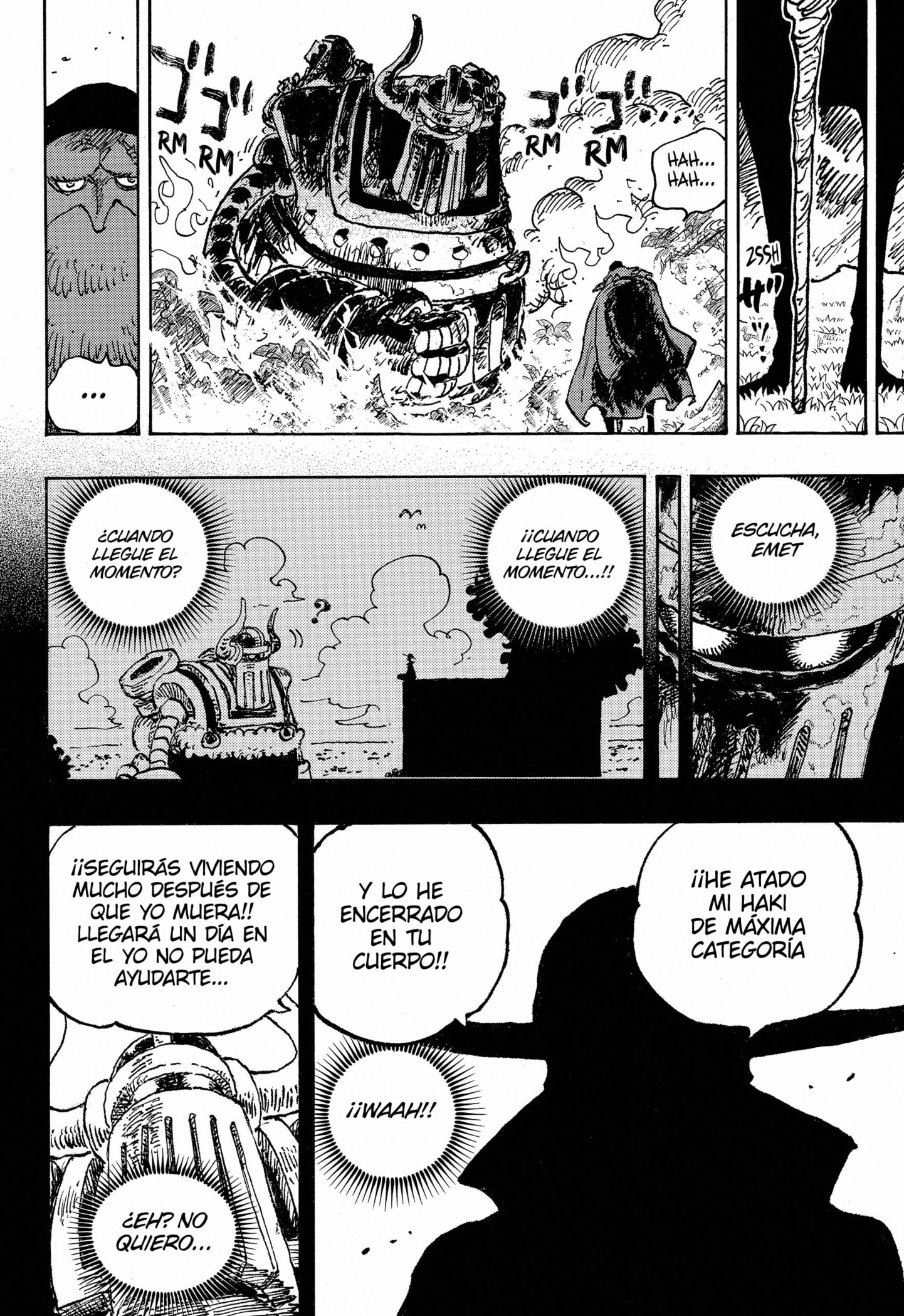 One Piece capítulo 1122 página 12