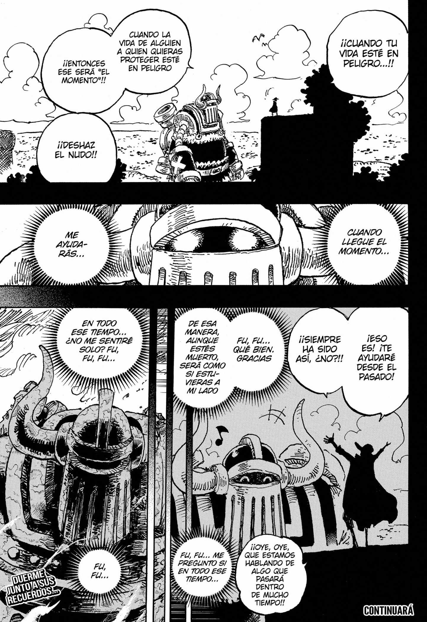 One Piece capítulo 1122 página 13