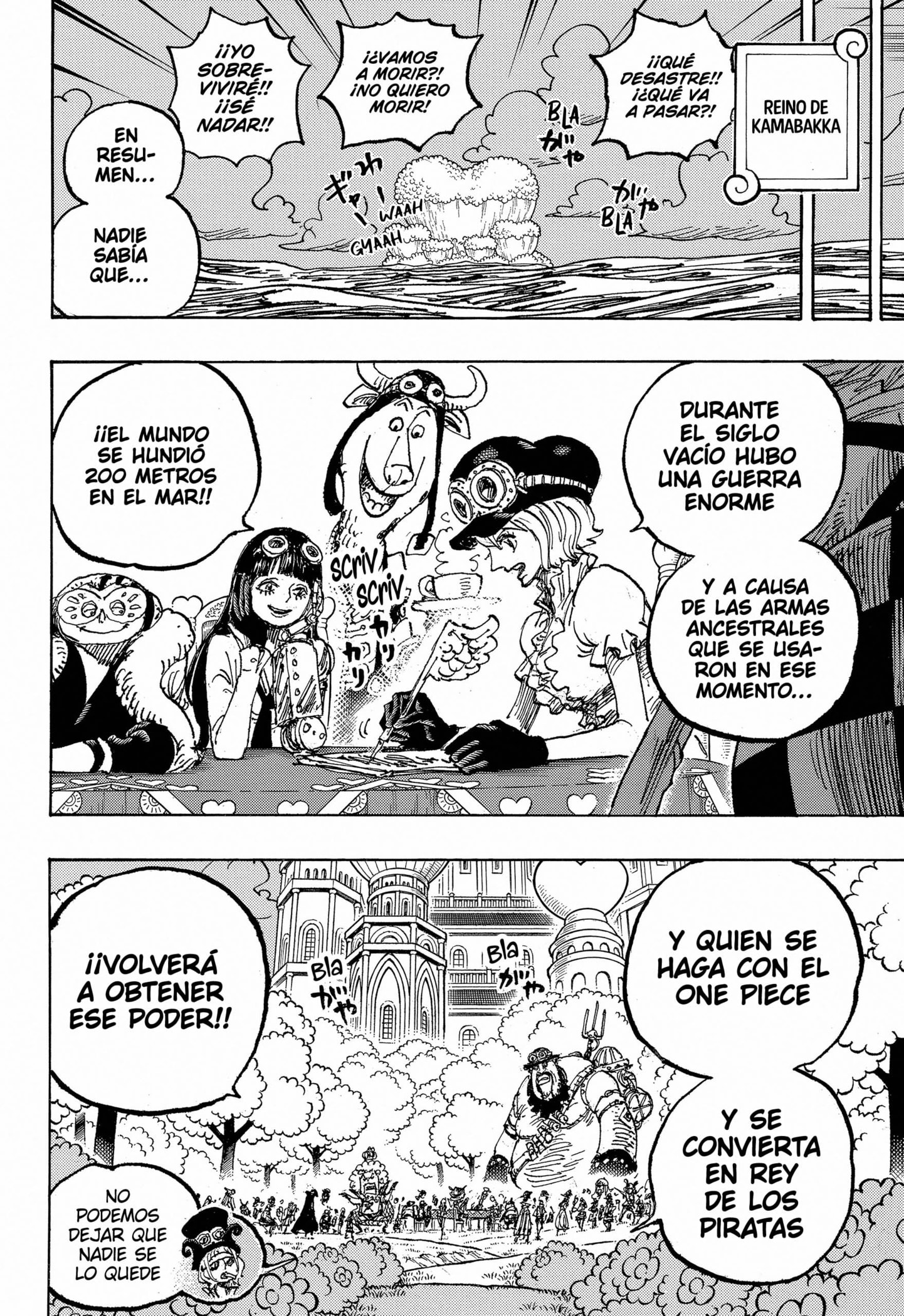 One Piece capítulo 1125 página 15