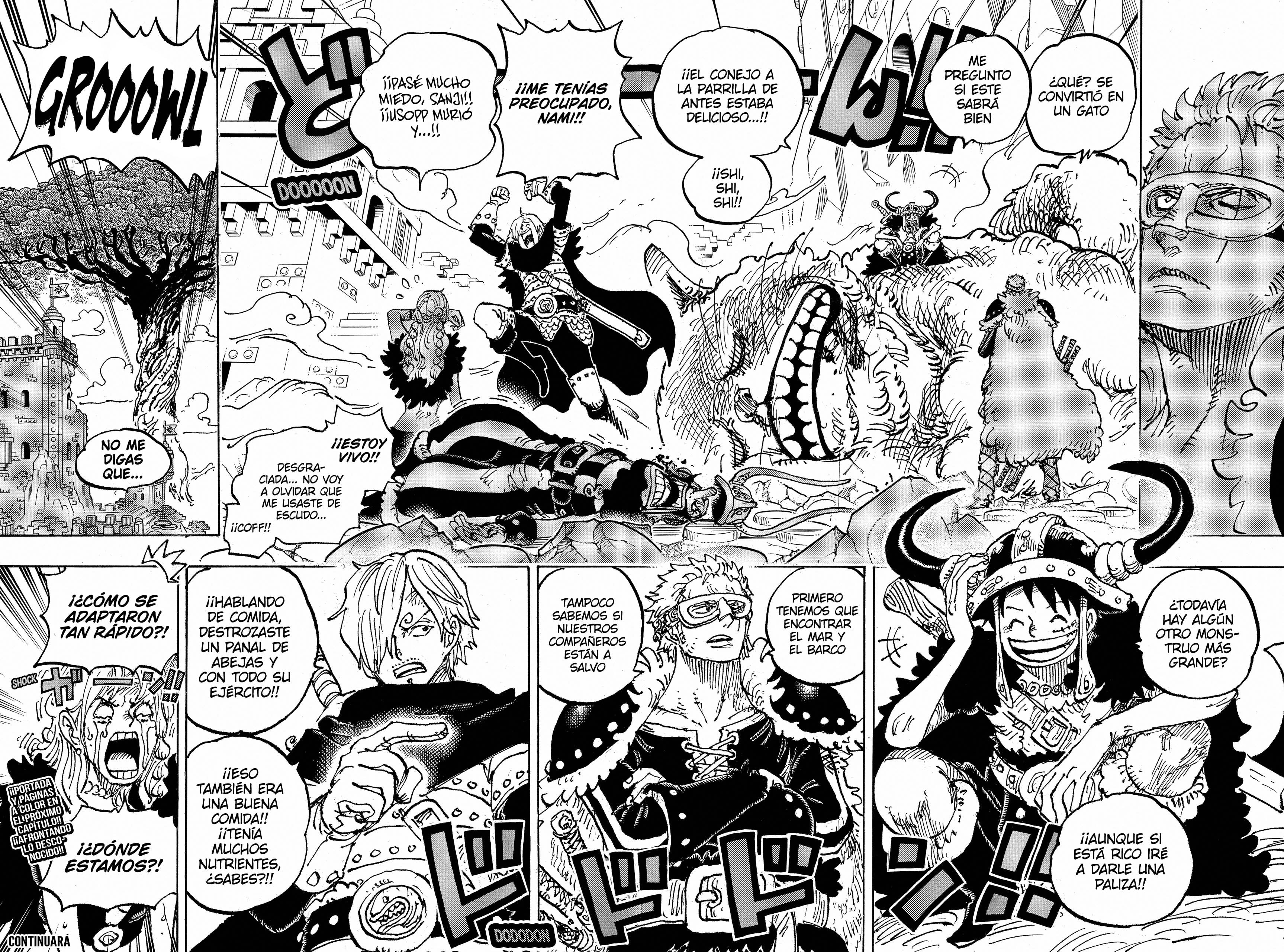 One Piece capítulo 1127 página 13