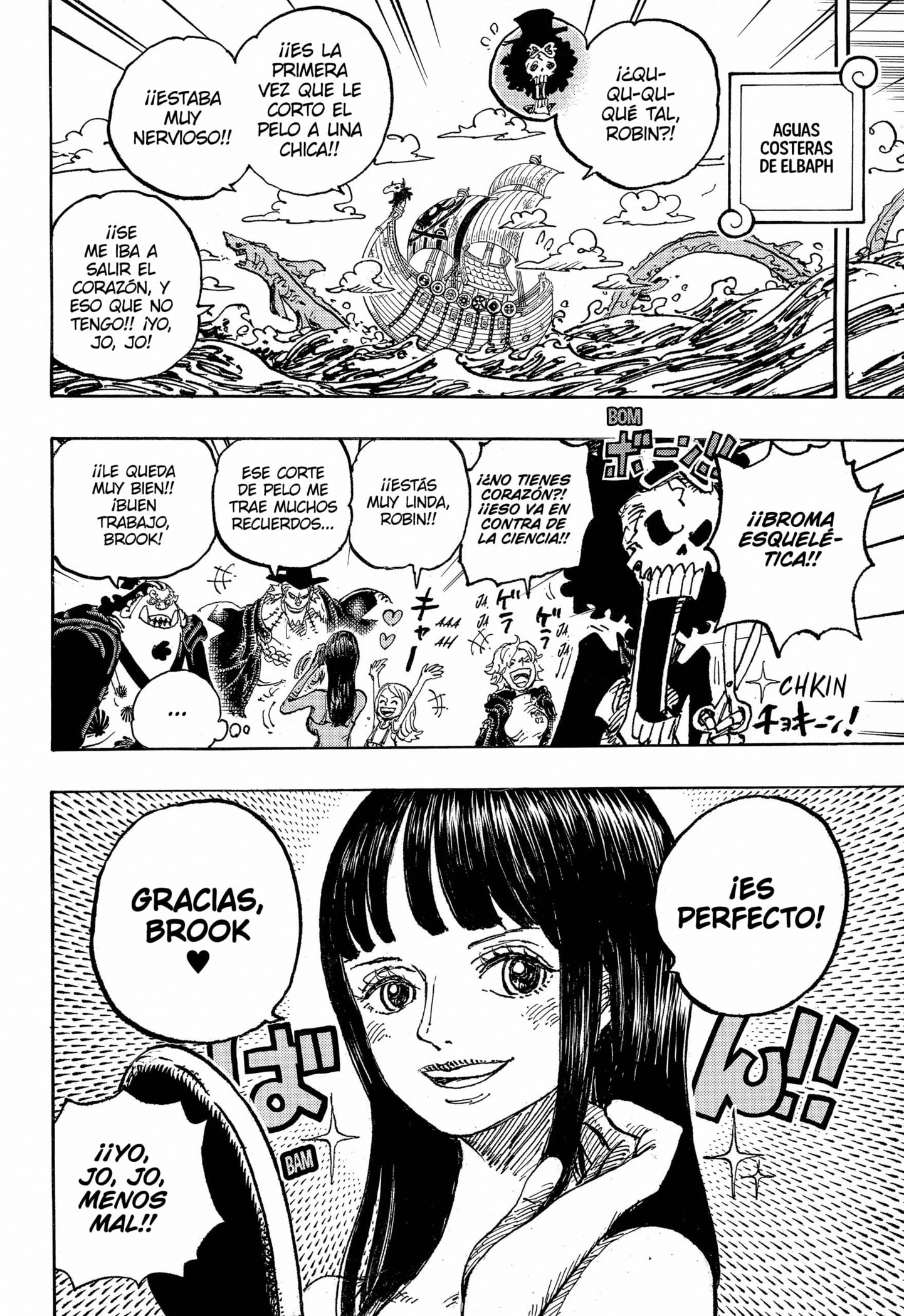 One Piece capítulo 1131 página 13