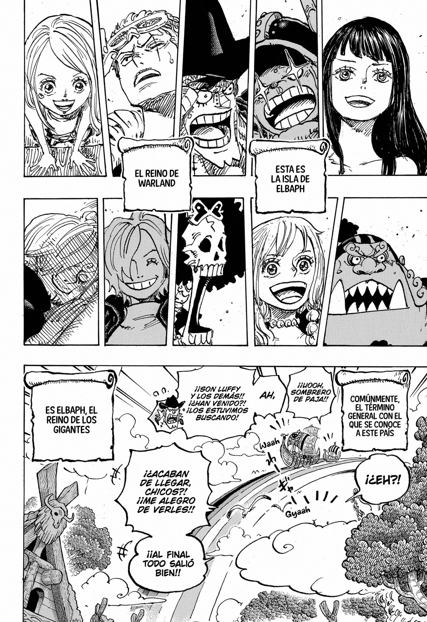 One Piece capítulo 1132 página 14