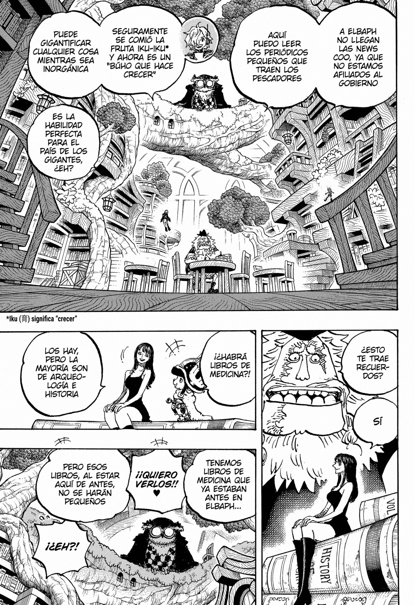 One Piece capítulo 1135 página 3