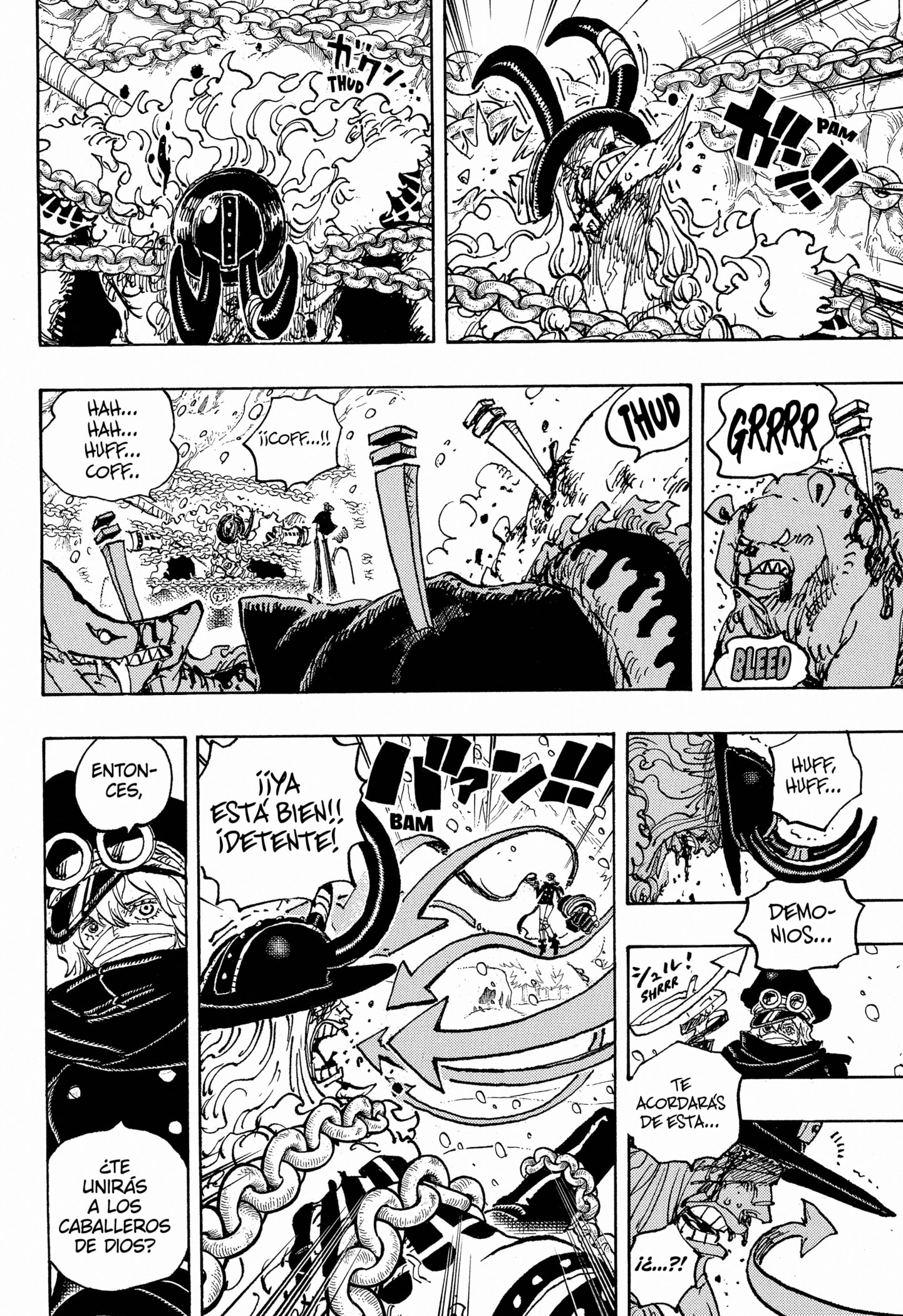One Piece capítulo 1137 página 13