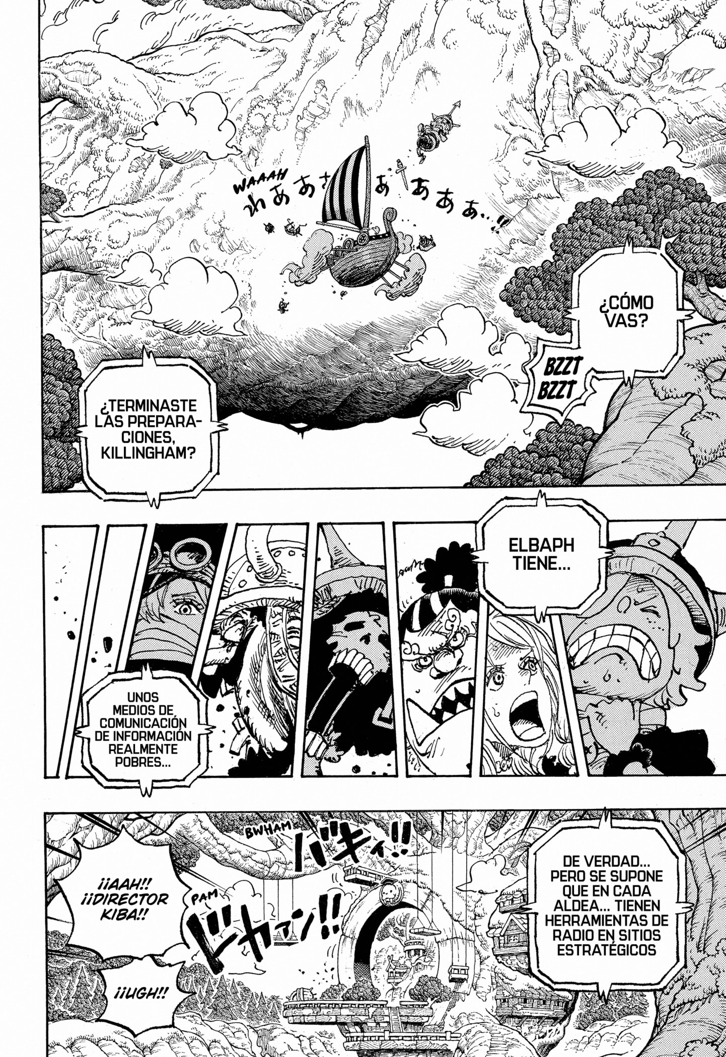 One Piece capítulo 1146 página 13
