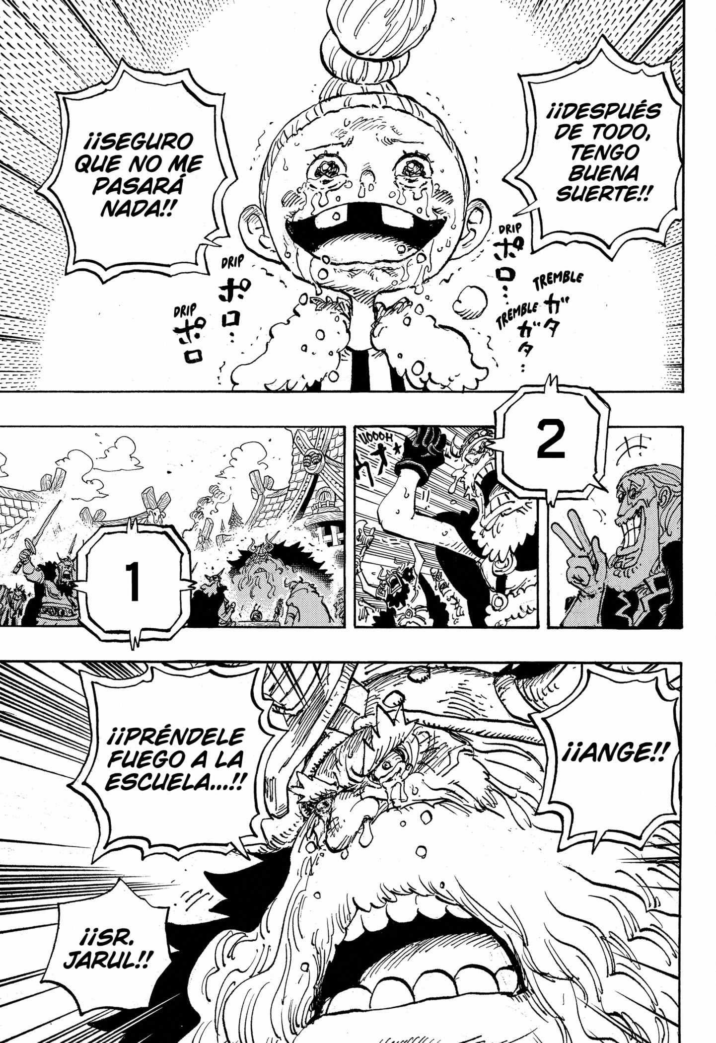 One Piece capítulo 1148 página 13