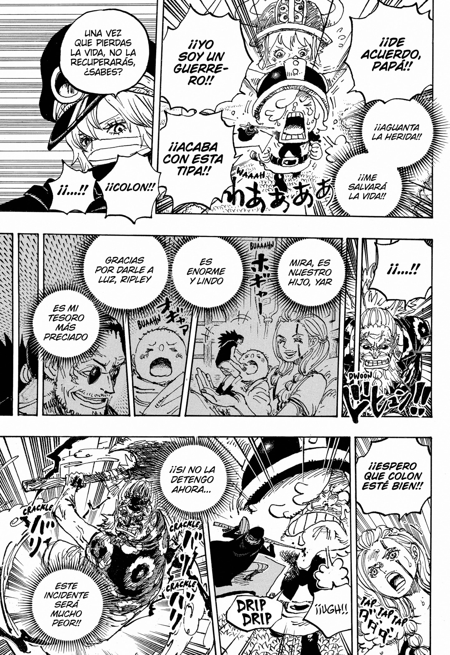 One Piece capítulo 1149 página 13