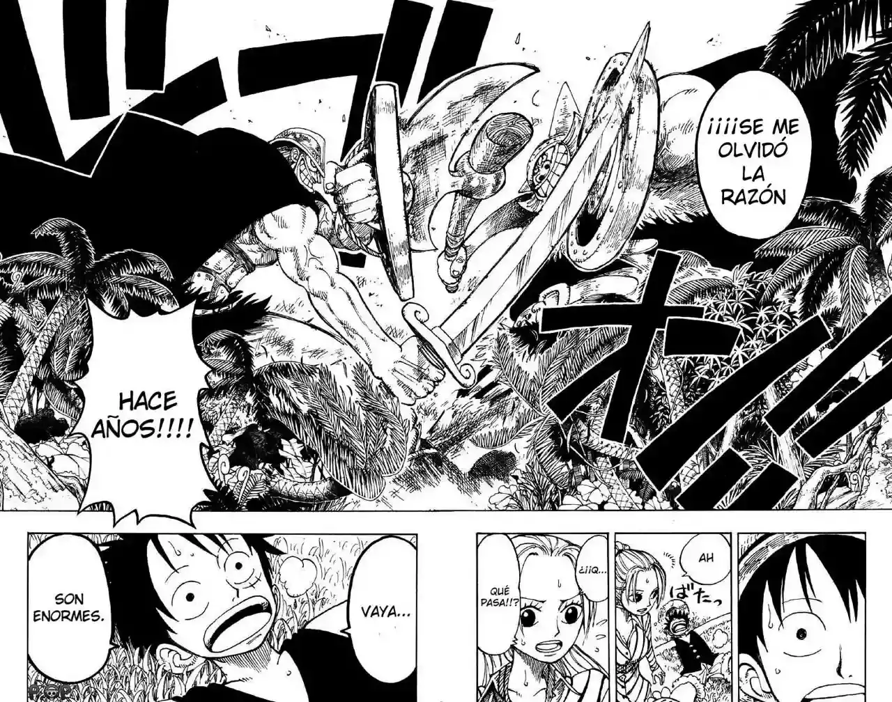One Piece capítulo 116 página 18