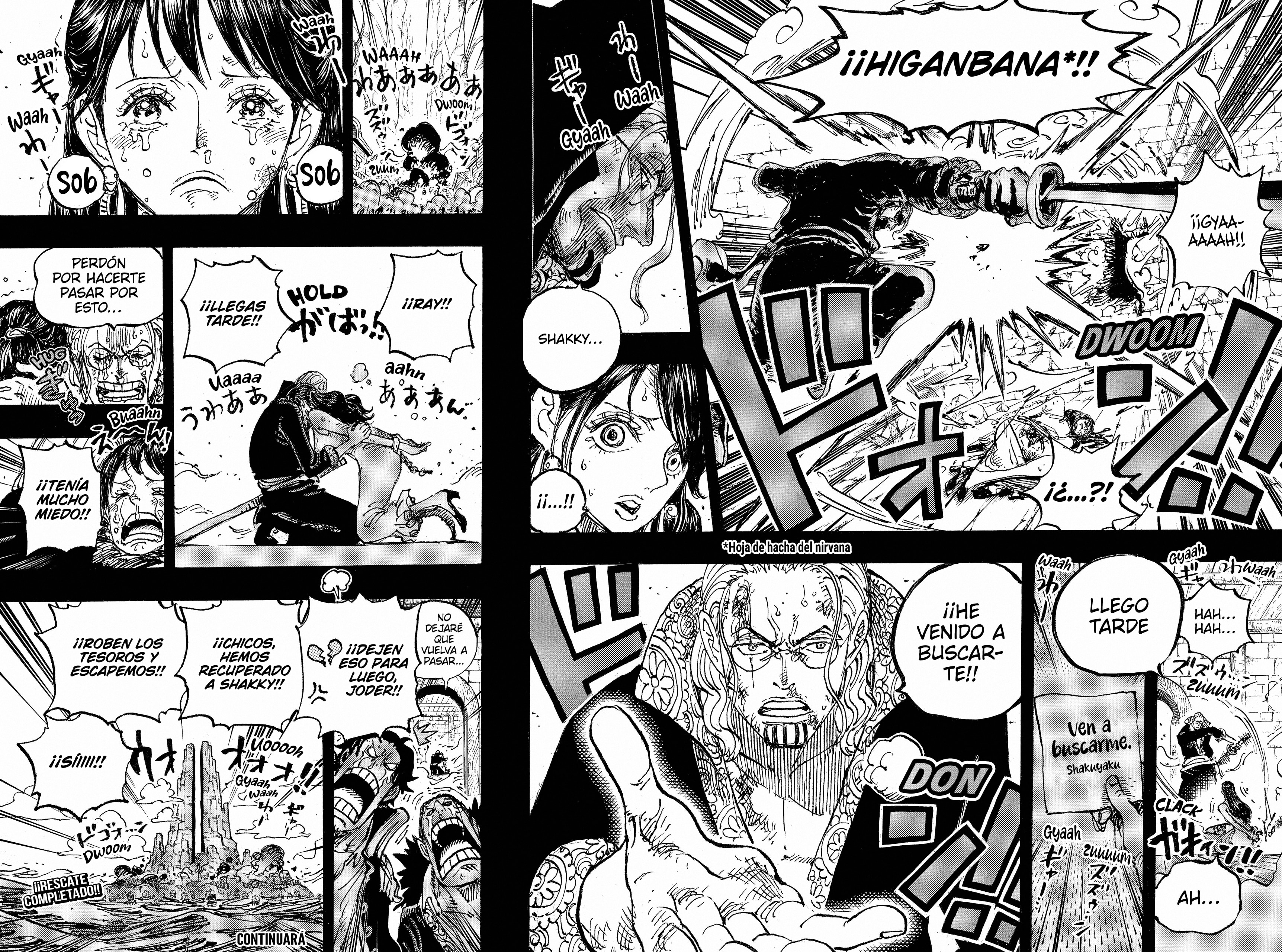 One Piece capítulo 1161 página 15