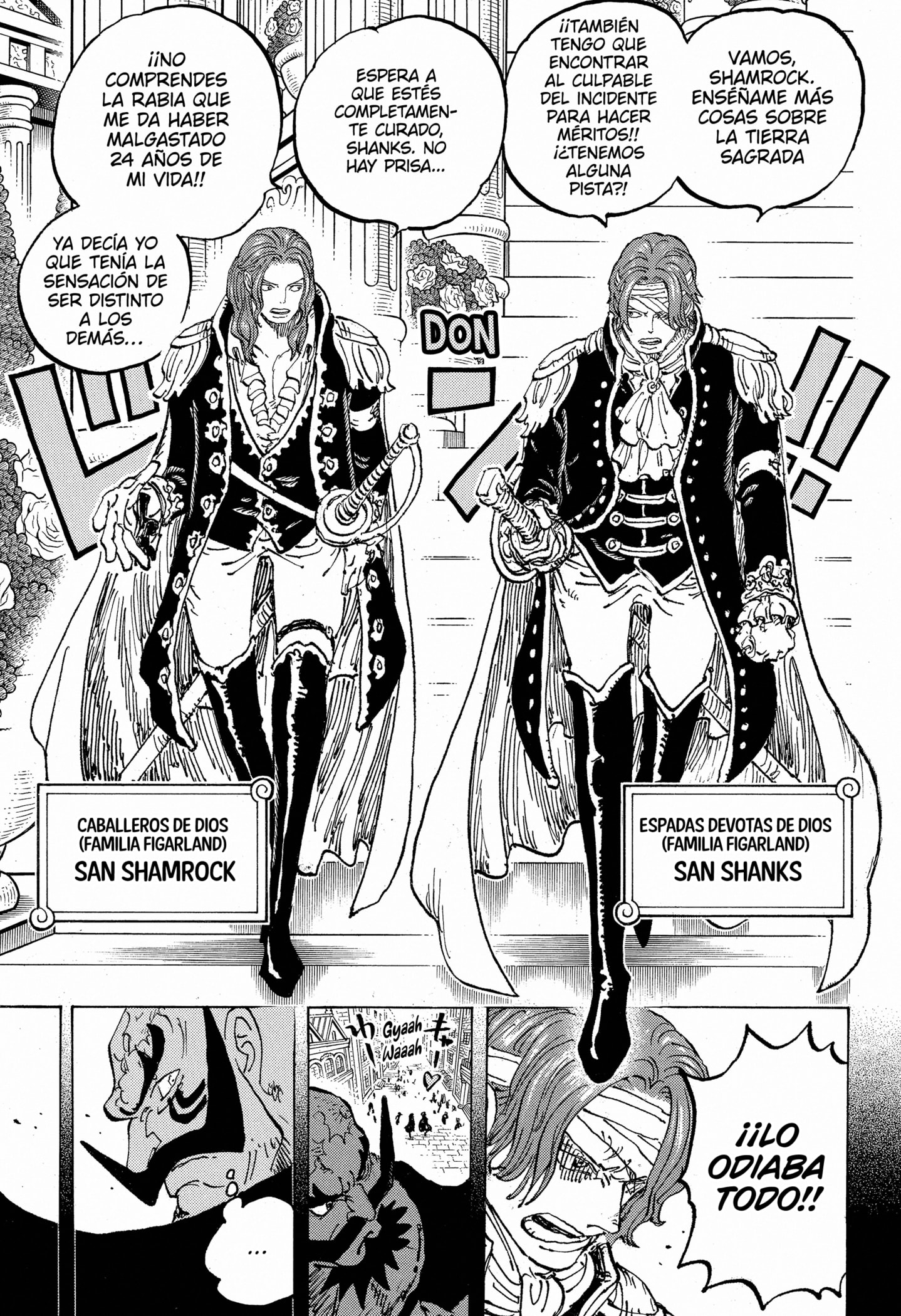One Piece capítulo 1167 página 13