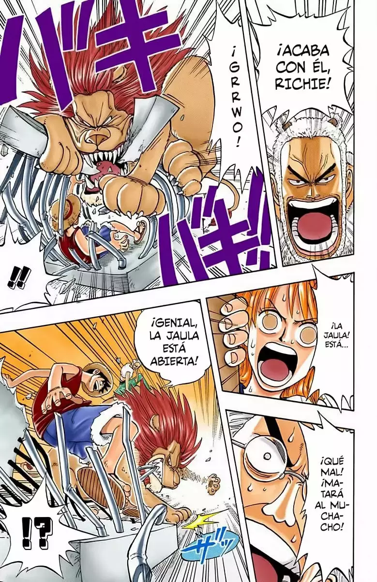 One Piece capítulo 12 página 18