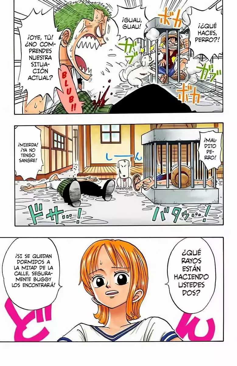 One Piece capítulo 12 página 6