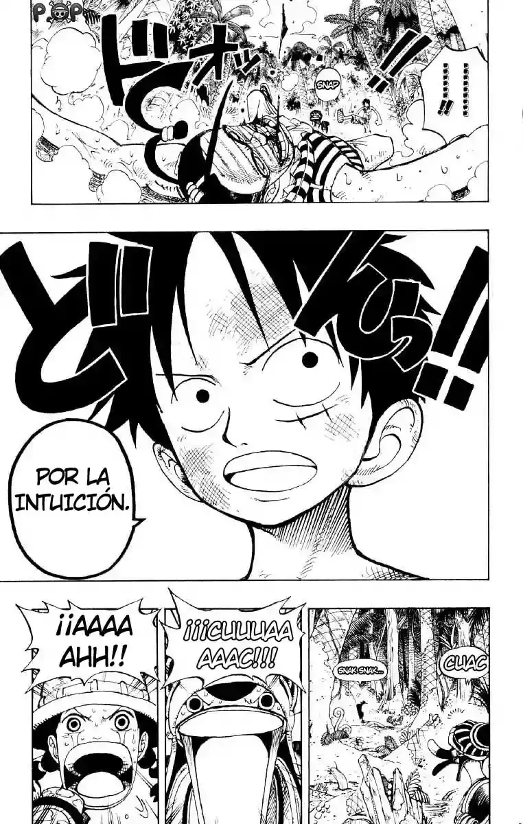 One Piece capítulo 126 página 17