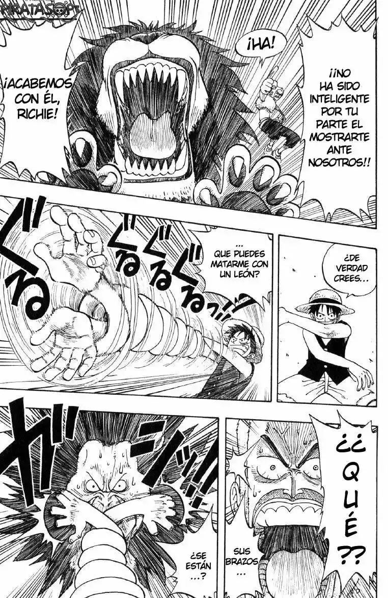 One Piece capítulo 13 página 11