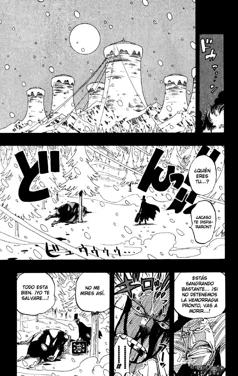 One Piece capítulo 141 página 15