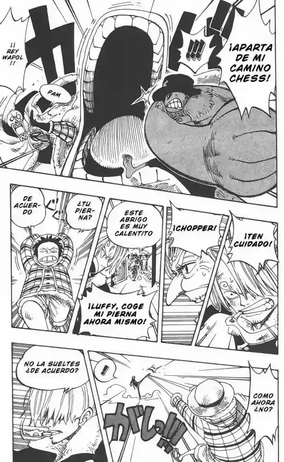 One Piece capítulo 146 página 19