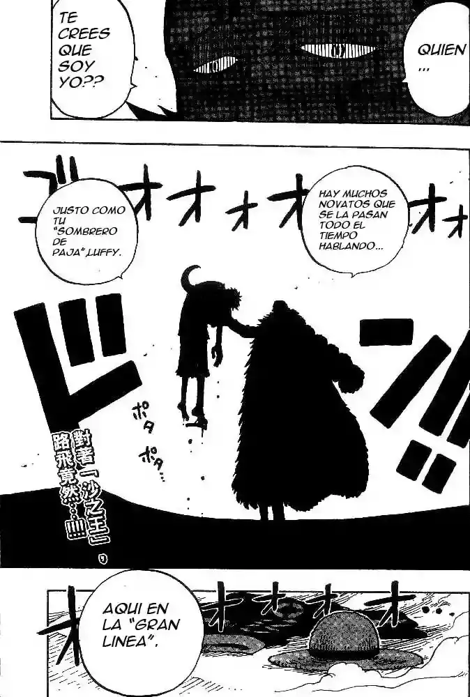 One Piece capítulo 178 página 19