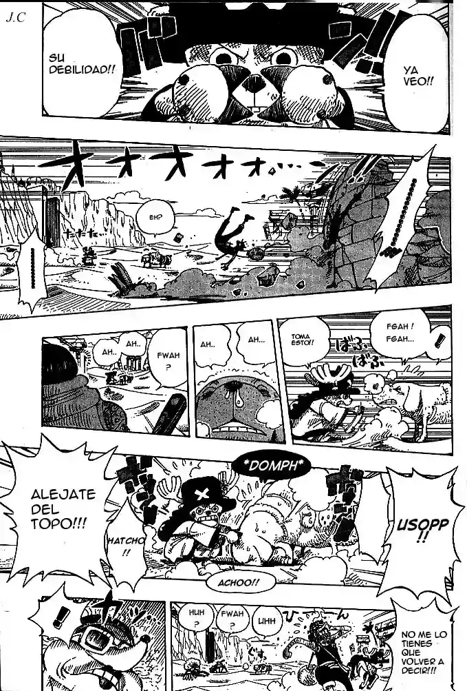 One Piece capítulo 185 página 17
