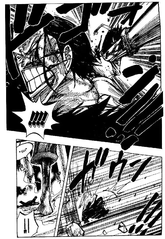 One Piece capítulo 204 página 11