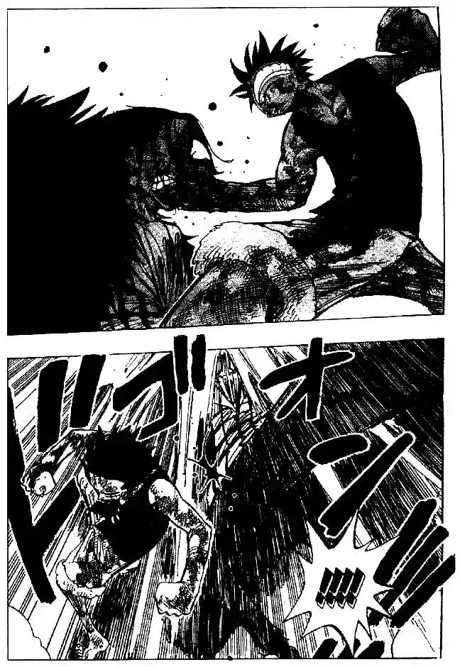 One Piece capítulo 204 página 13