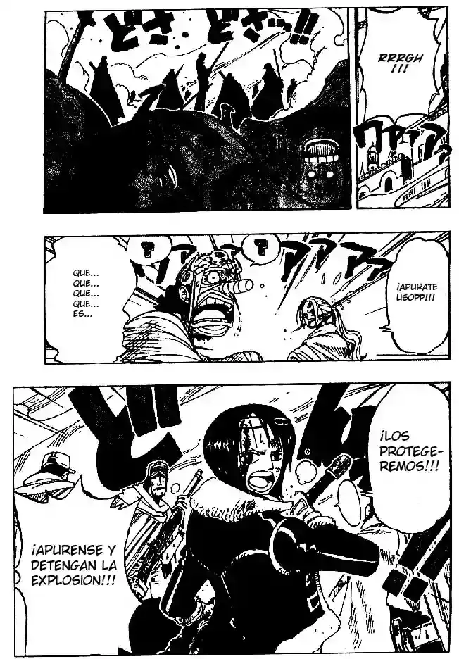 One Piece capítulo 204 página 19
