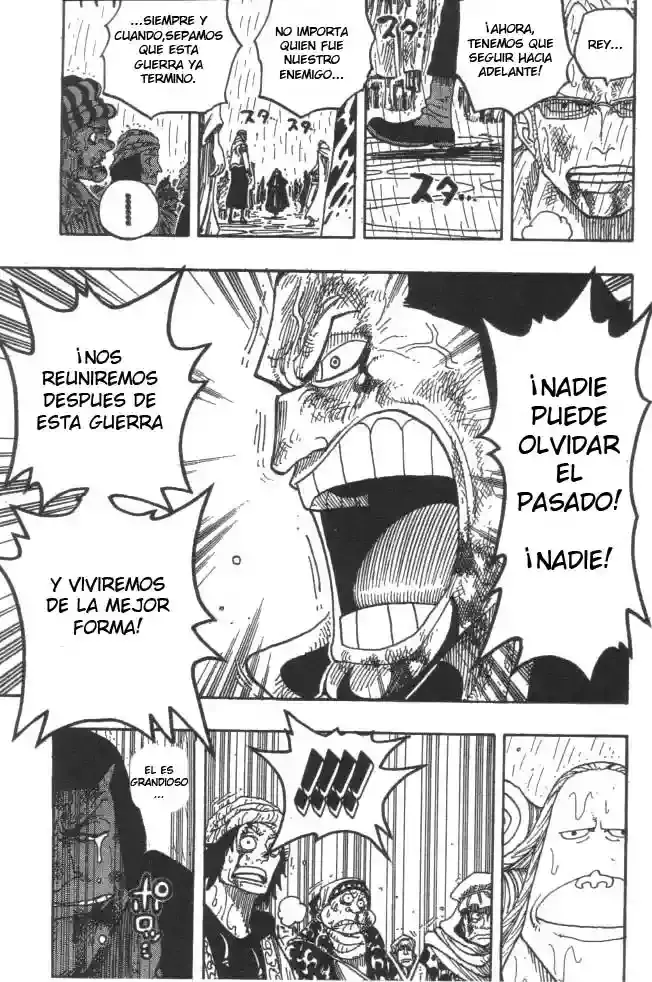 One Piece capítulo 211 página 17