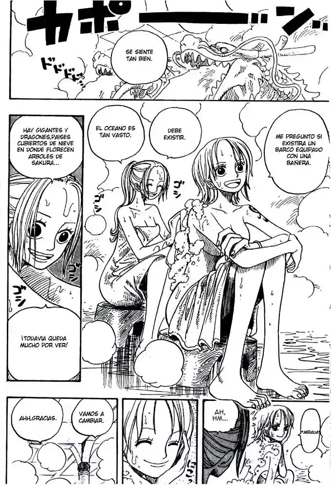 One Piece capítulo 213 página 17