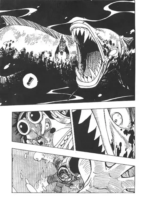 One Piece capítulo 220 página 15