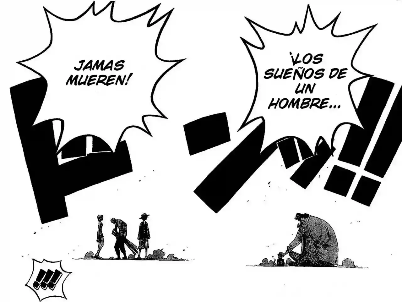 One Piece capítulo 225 página 12